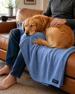 Person sitting on a brown leather couch with a golden retriever dog on their lap, wrapped in a blue blanket.
