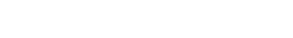 DudeRobe
